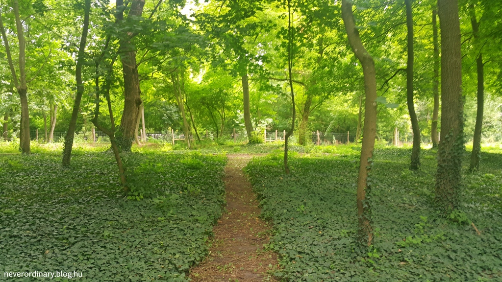 20150628_132505.jpg