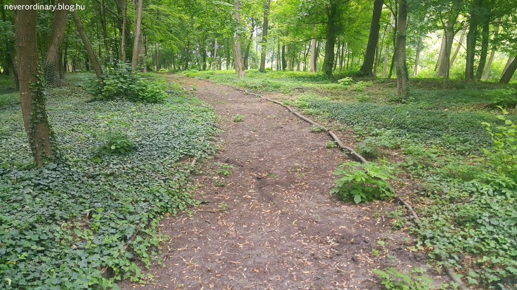 20150628_132533.jpg