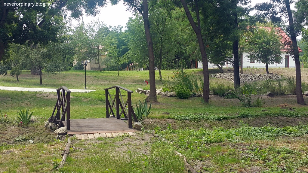 20150628_132937_1.jpg