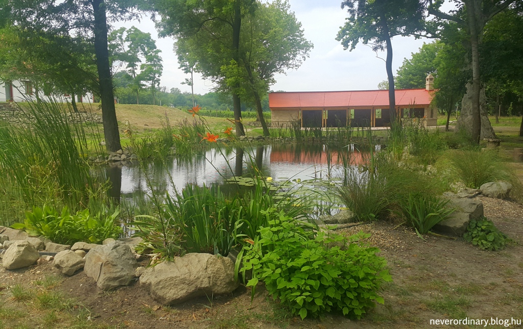 20150628_133017.jpg