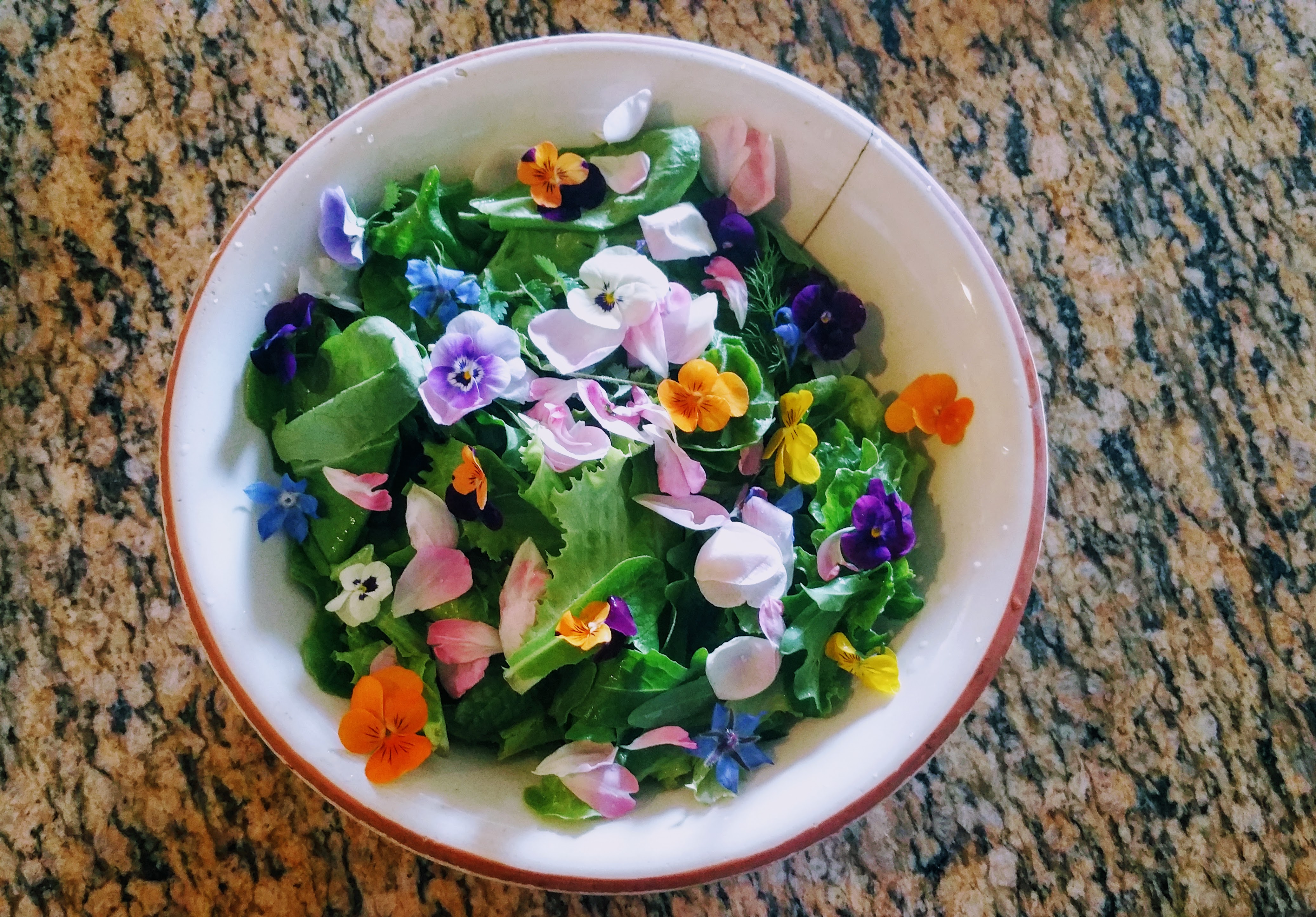 20170503_132823.jpg