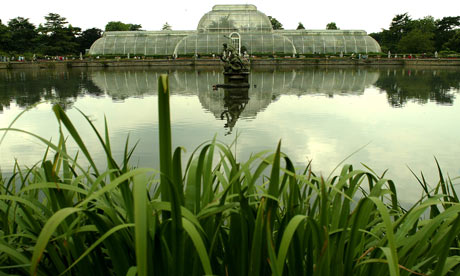 Palm-House---Kew-Gardens.-006.jpg