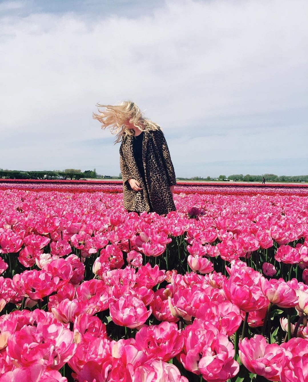 screenshot_20190312-084902_instagram.jpg