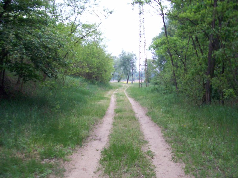 20150514_08_to_fele.jpg