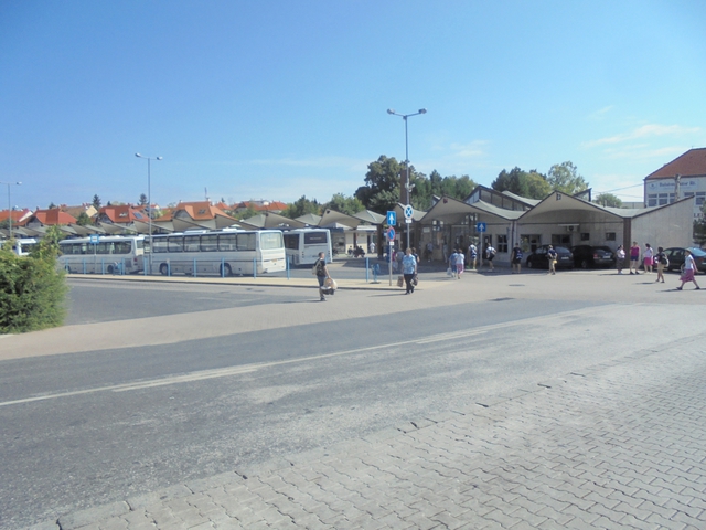 2017.08.08 Veszprémi Vadaspark