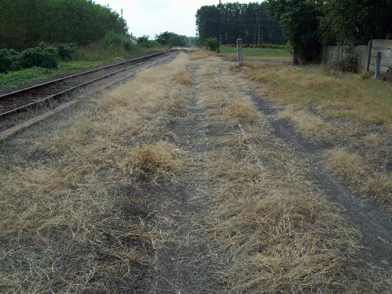 20140831 027 Monostorpályi megálló a második vágány.JPG