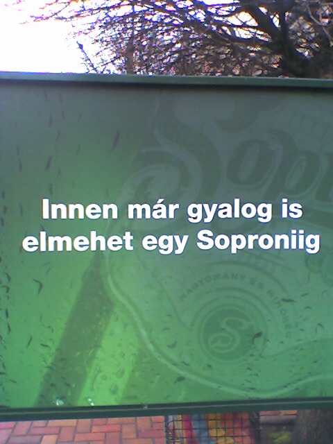 20060330 Soproniig.jpg