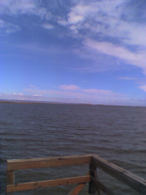 20060401 Fertő-tó1.jpg