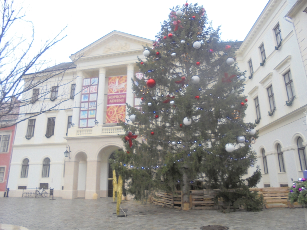 20191221_04_sopron_karacsonyfa.JPG