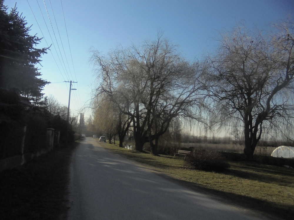 20210321_027_vilonya.JPG