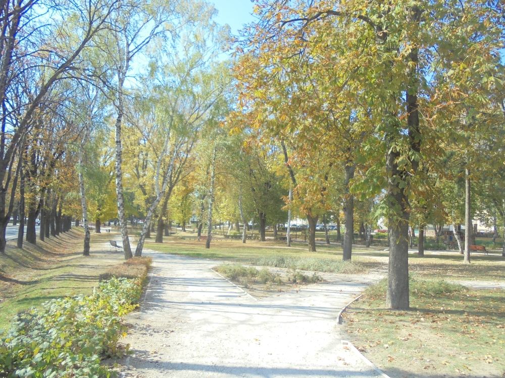 20181014_11_mor_szent_istvan_park.JPG