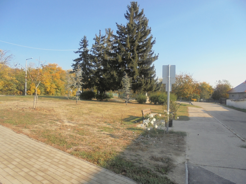 20191019_040_csala_park.JPG