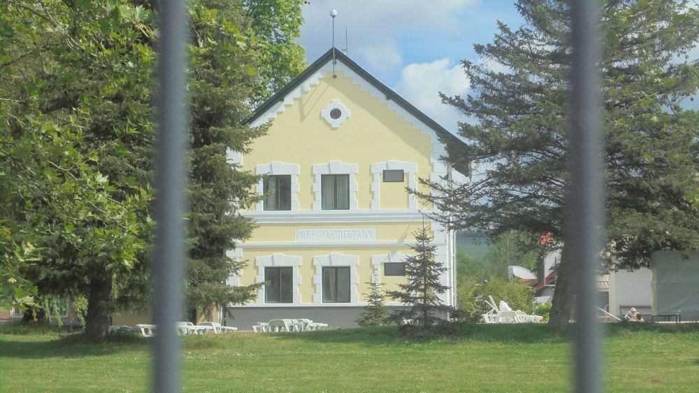 20240418_21_kehidakustany_kozelebbrol.JPG
