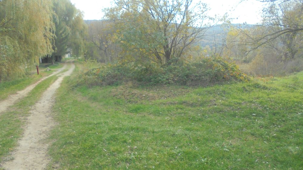 20241025_58_hont_mh.JPG