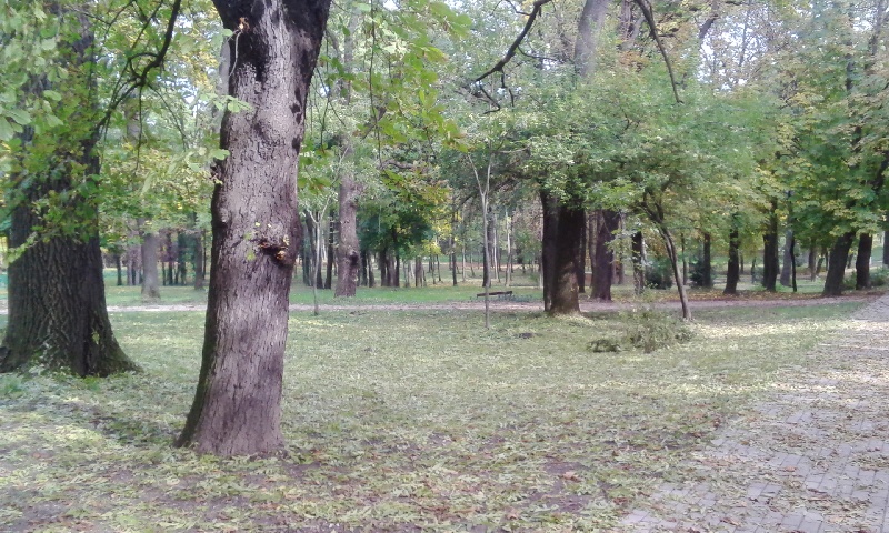 20151025_035_kisber_park.jpg