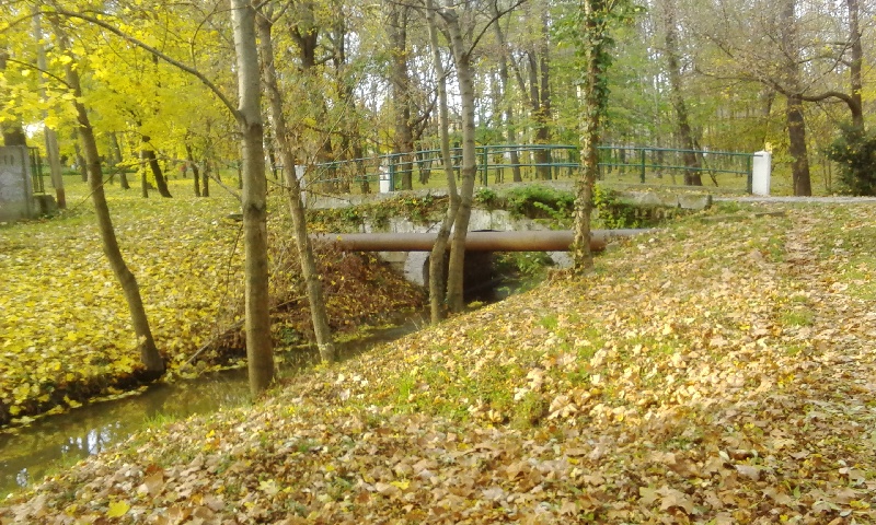 20151108_08_kisber_erdos_park.jpg