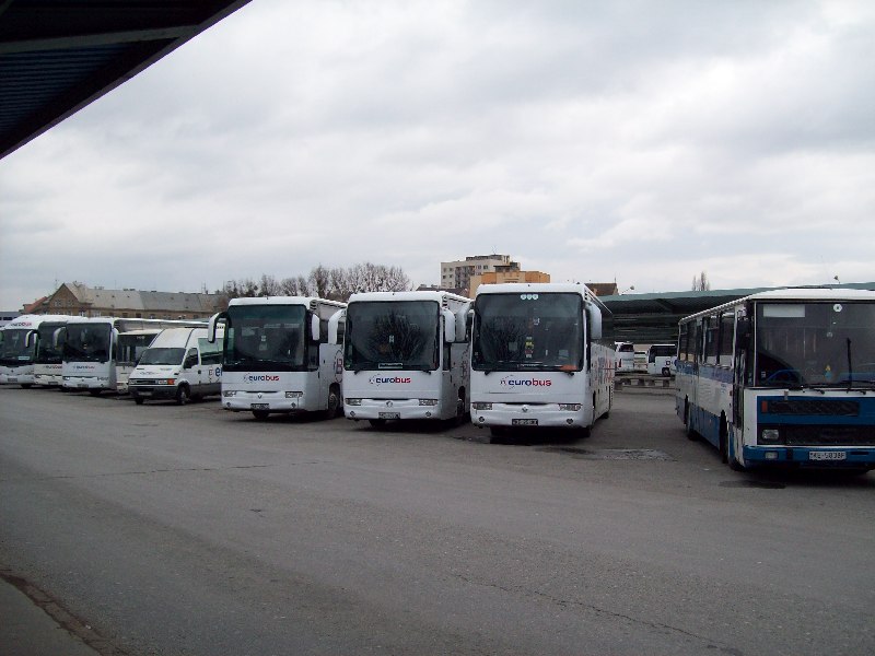20081225 66 Buszpark.jpg