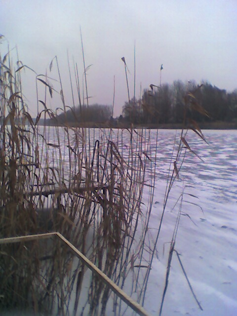 20051227 Szolnok Holt-Tisza.jpg