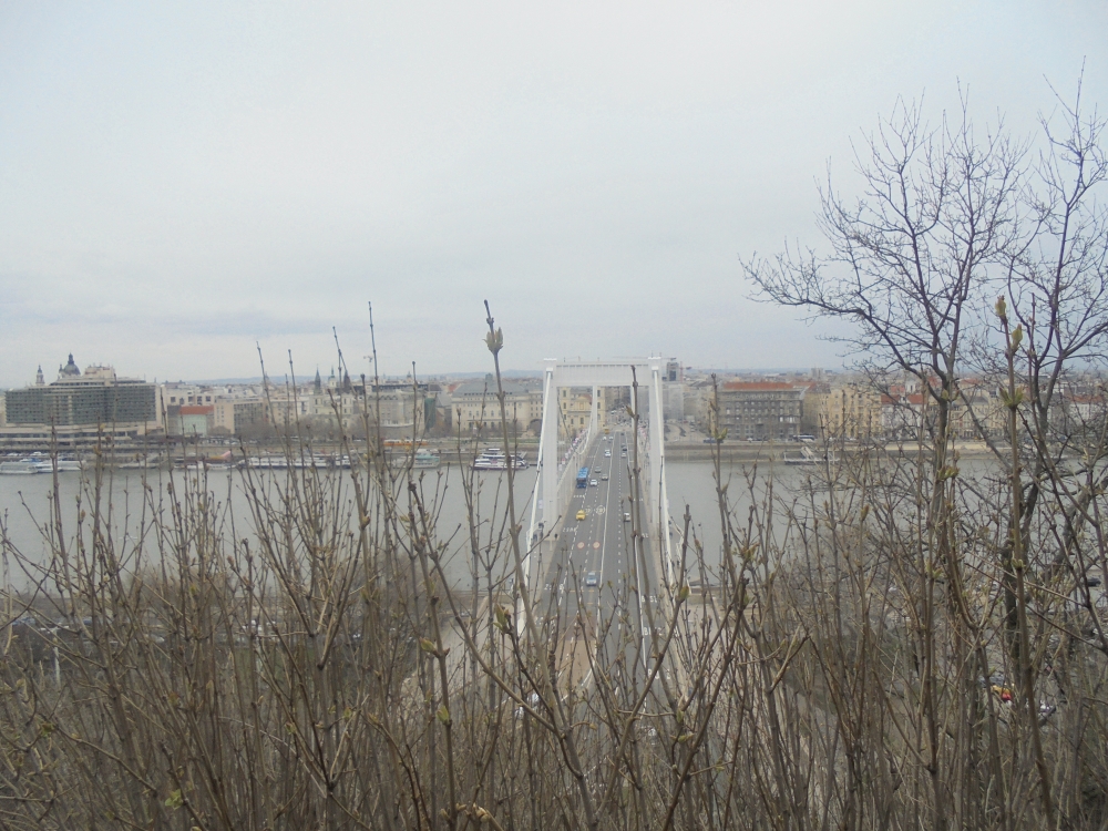 20180331_17_budapest.JPG