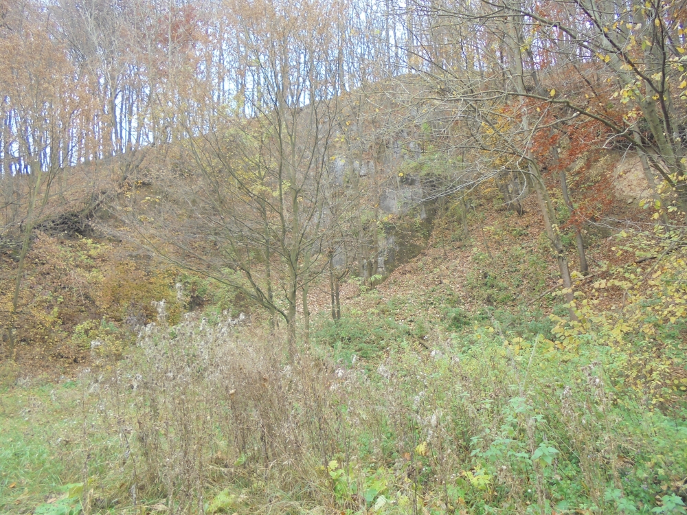 20161101_25_csesznek.JPG