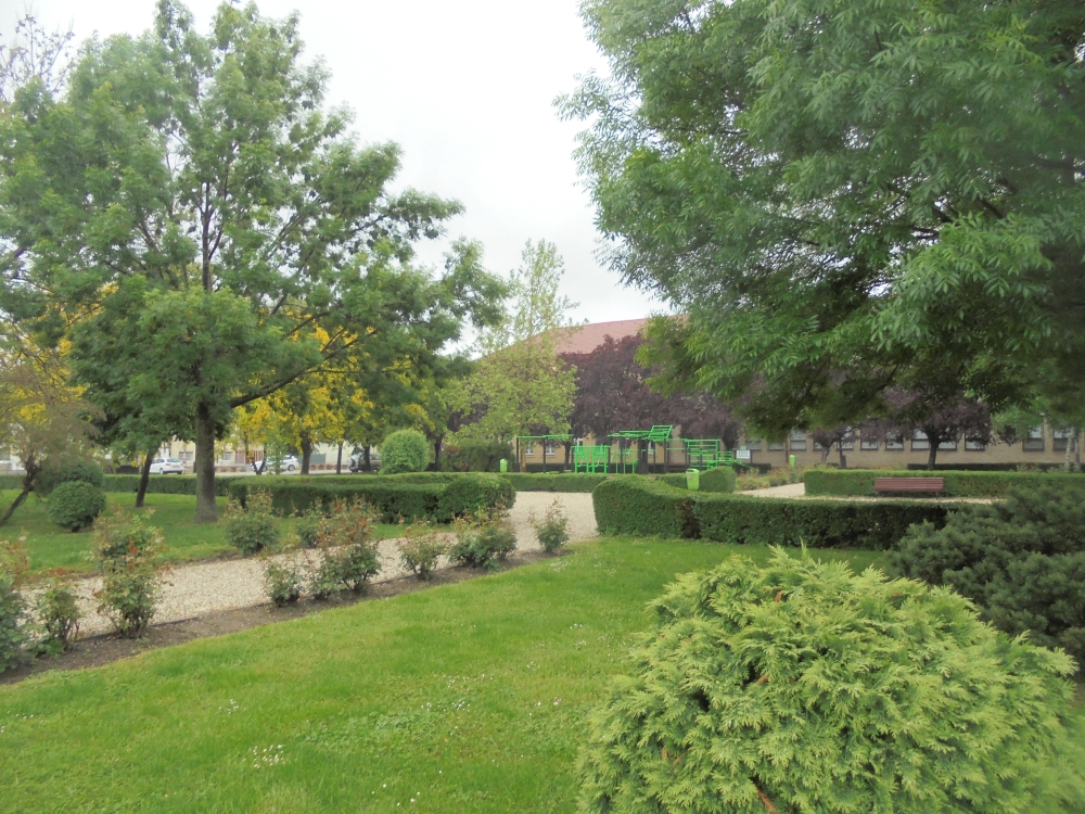 20210523_29_csorna_kondipark.JPG