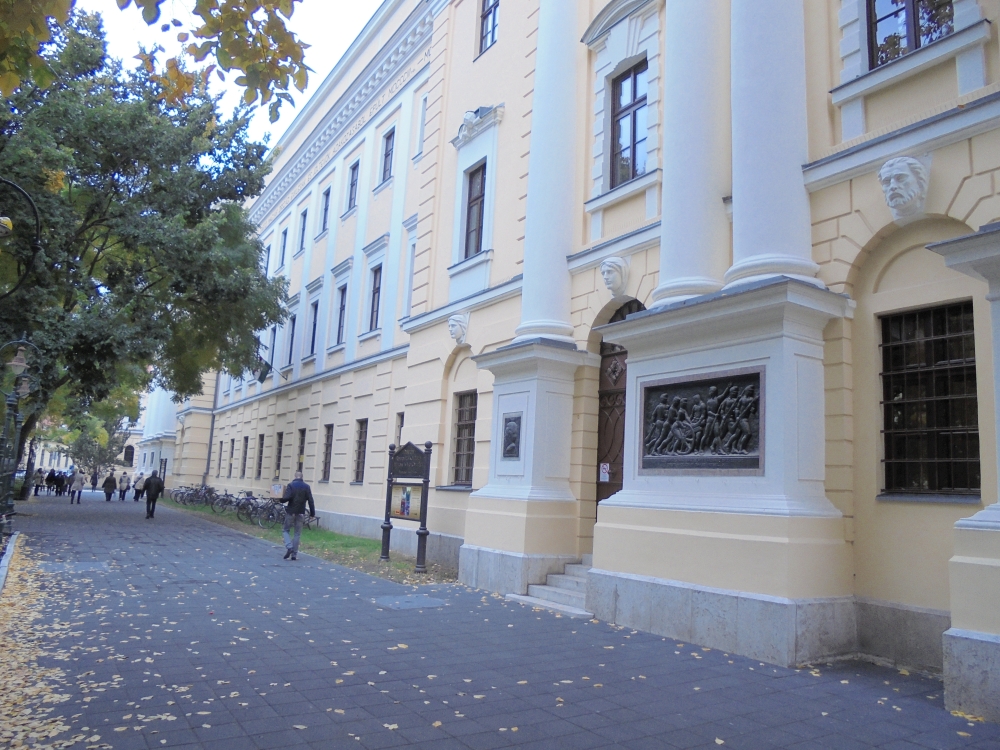 20161020_143_debrecen_refkoll.JPG