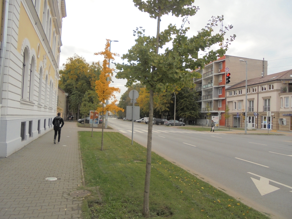 20161020_166_debrecen_hatvan_u.JPG