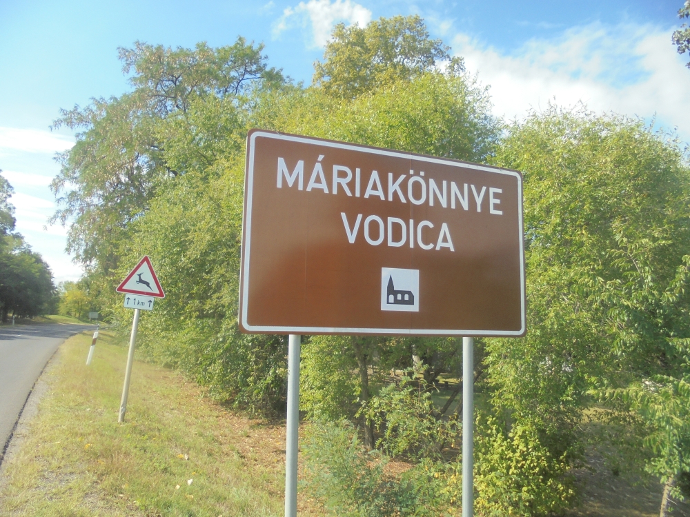 20210901_006_mariakonnye.JPG