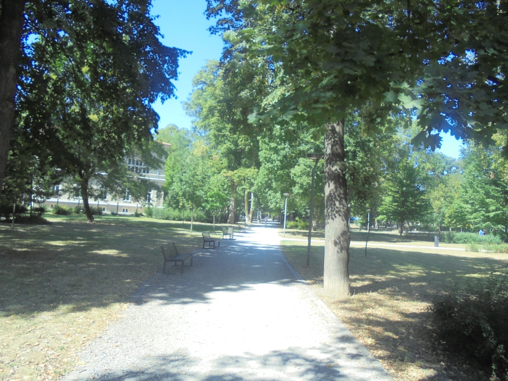 20180807_126_kassa_comenius_park.JPG