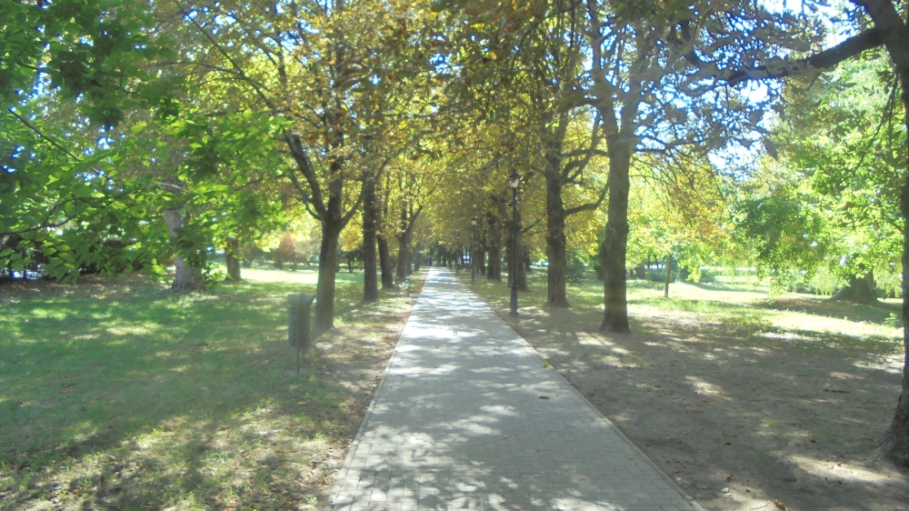 20240921_03_kecel_liget.JPG