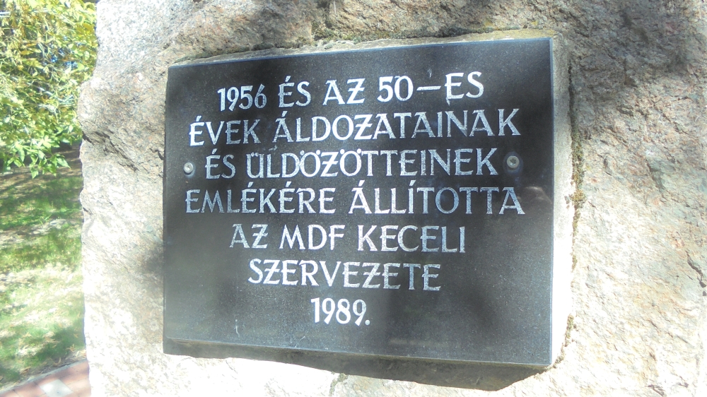 20240921_05_kecel.JPG