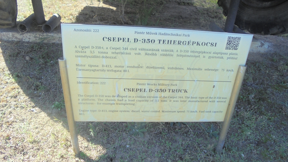 20240921_82_kecel.JPG