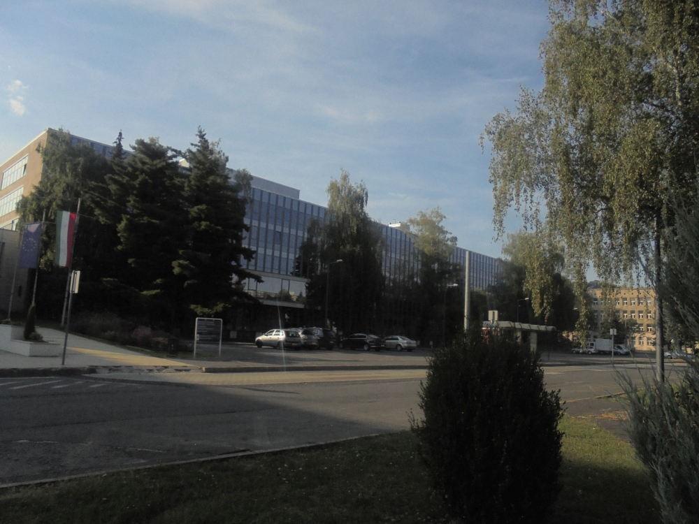 20180808_116_miskolc.JPG