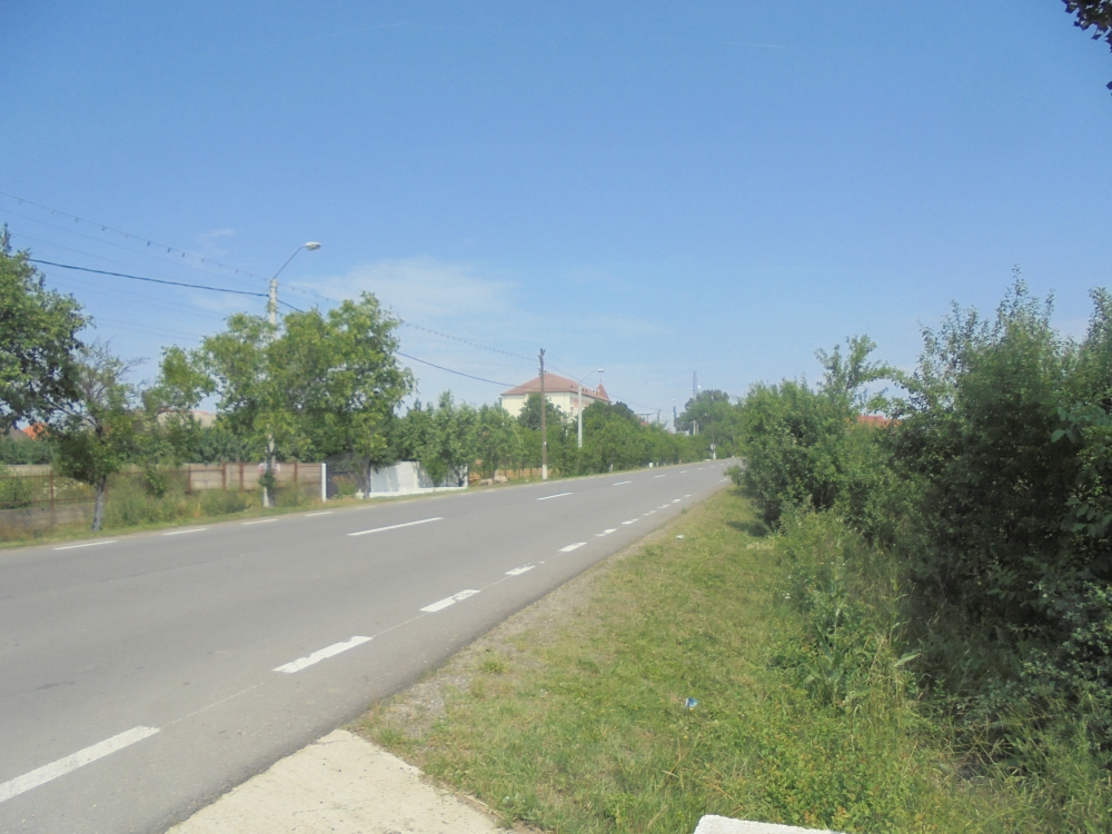 20180606_116_nagyszalonta.JPG