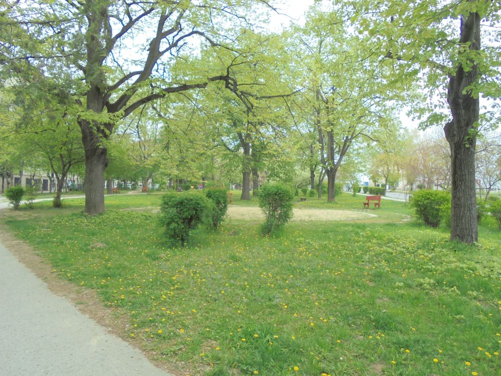 20170415_015_esztergom_park.JPG