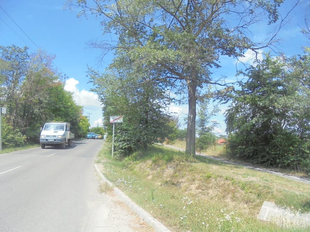 20190705_30_telki_kijarat.JPG