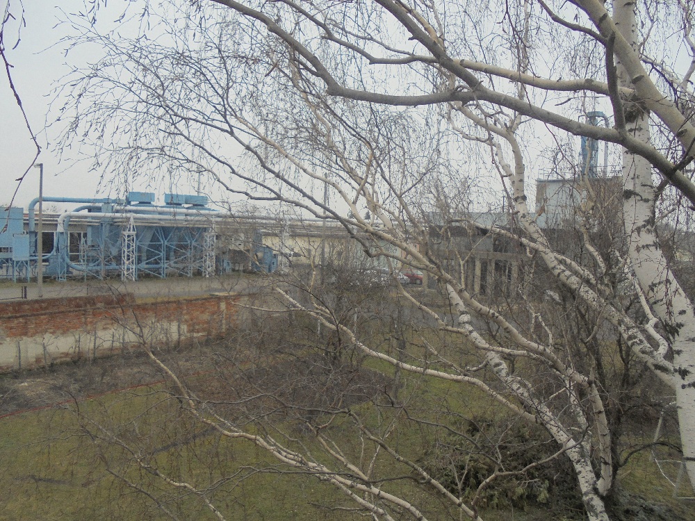 20180212_14_sarospatak.JPG