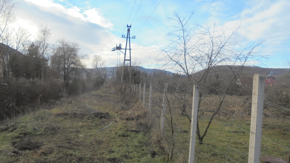 20241215_05_sirok.JPG