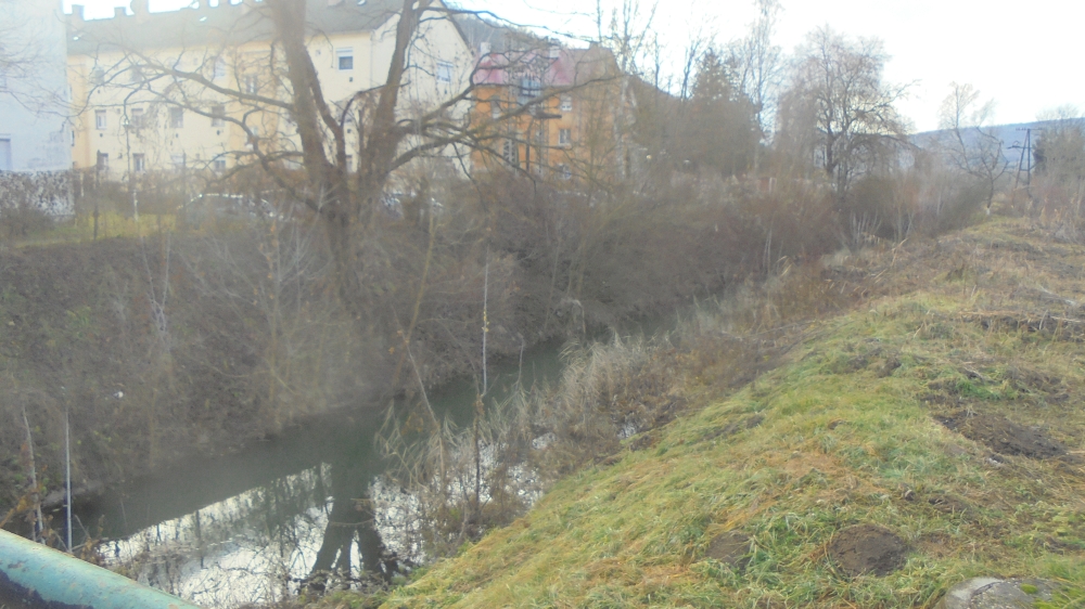 20241215_06_sirok_tarna.JPG