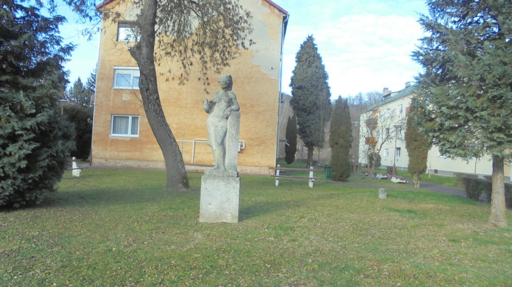 20241215_07_sirok_galambos_lany.JPG