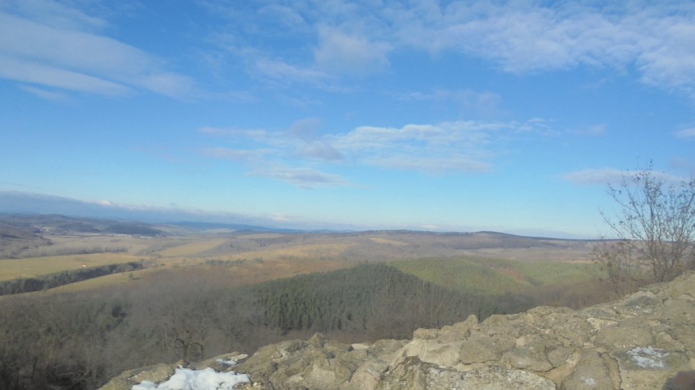 20241215_24_sirok.JPG