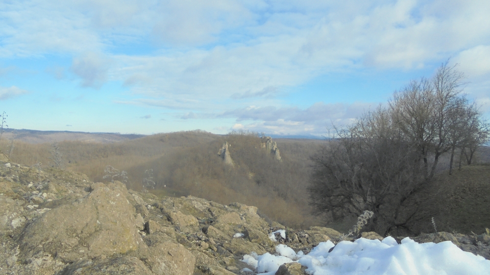 20241215_25_sirok.JPG
