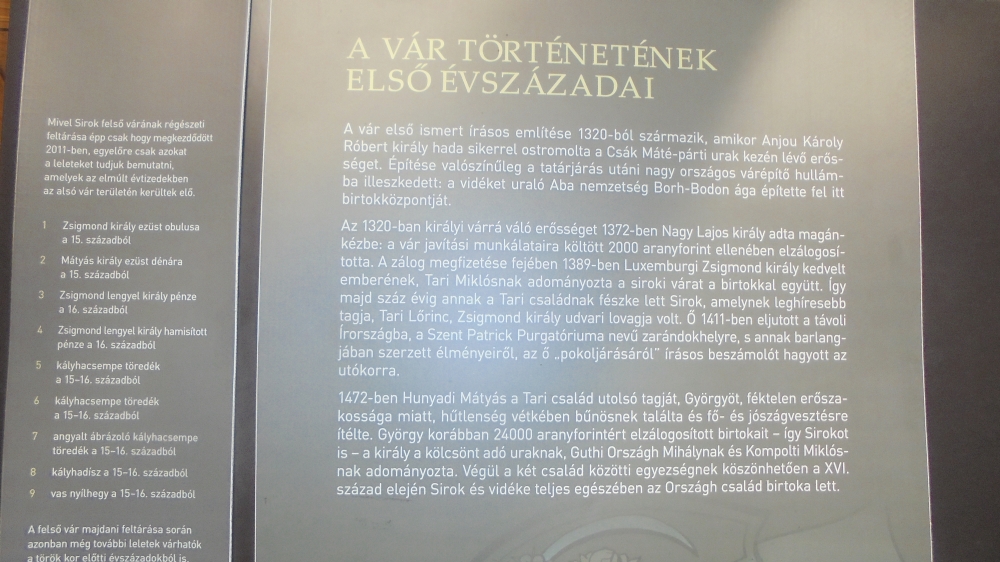 20241215_41_sirok.JPG