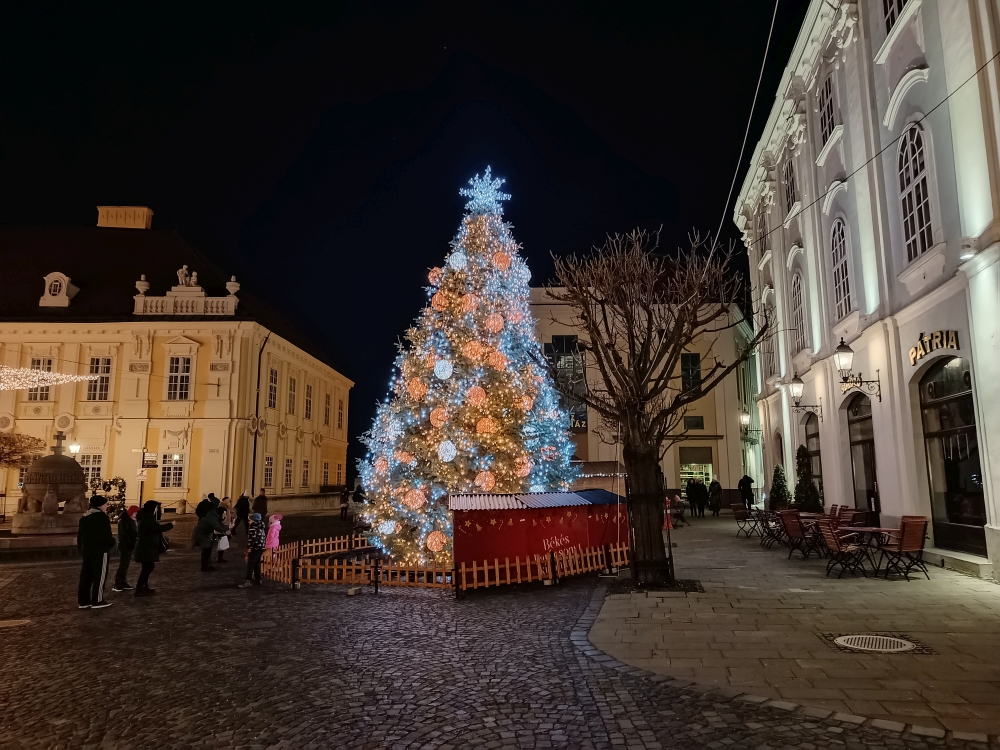 20241226_05_szekesfehervar.jpg