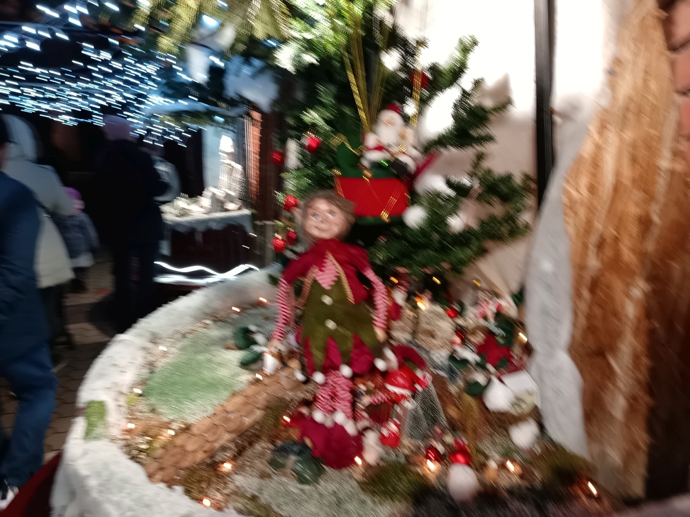 20241226_13_szekesfehervar.jpg