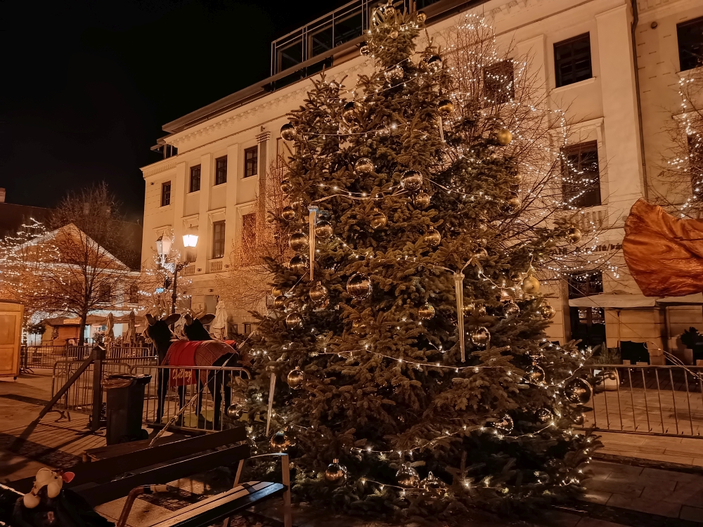 20241228_06_gyor.jpg