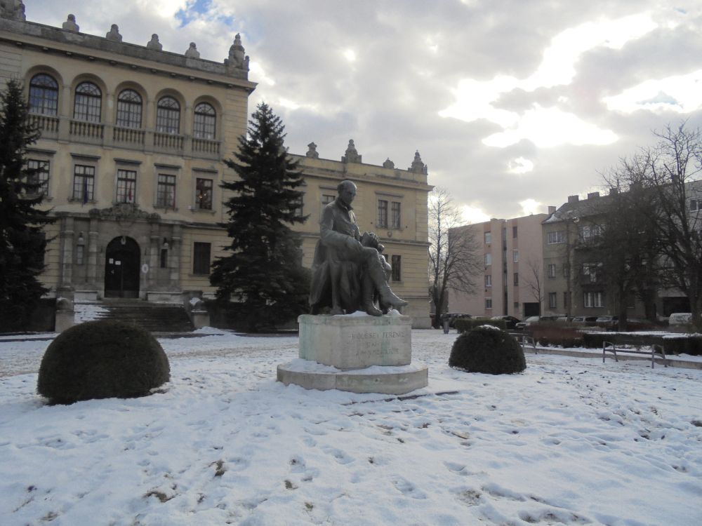 20170112_14_sopron_kolcsey_ferenc.JPG