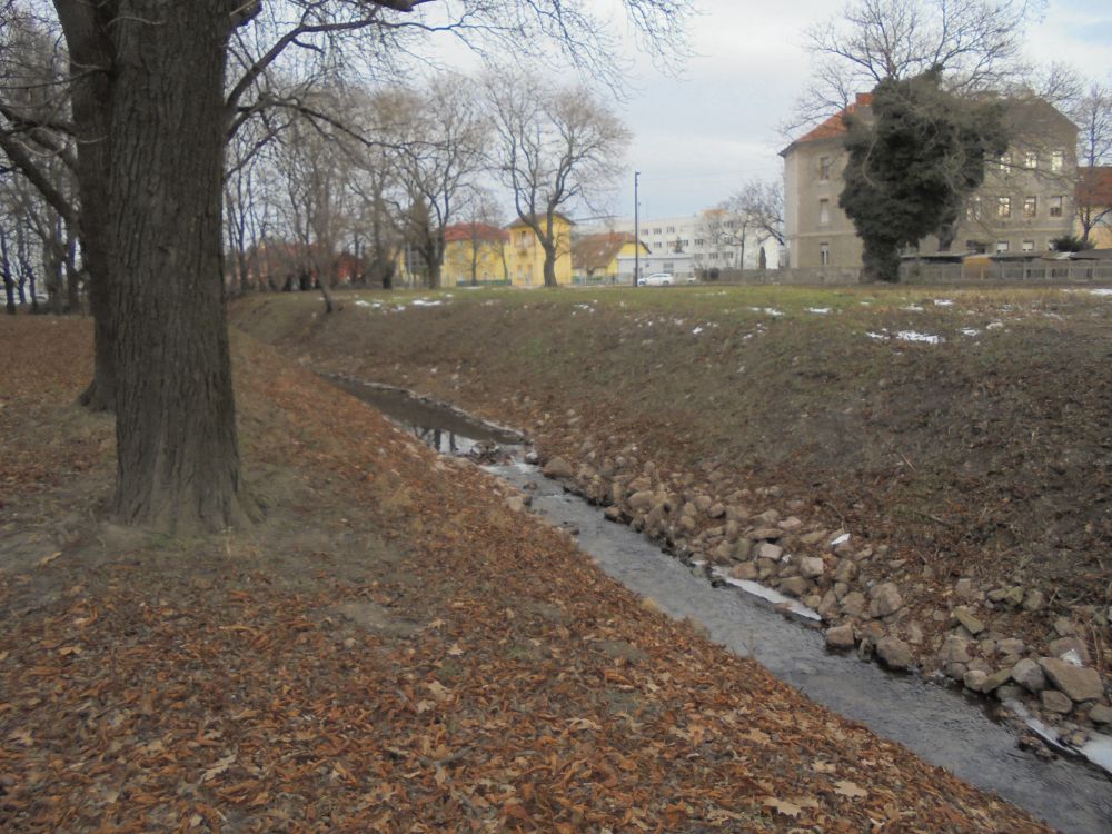 20170114_22_sopron_rak-patak.JPG