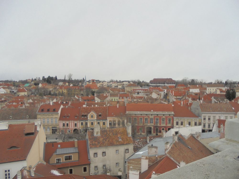 20170114_59_sopron.JPG