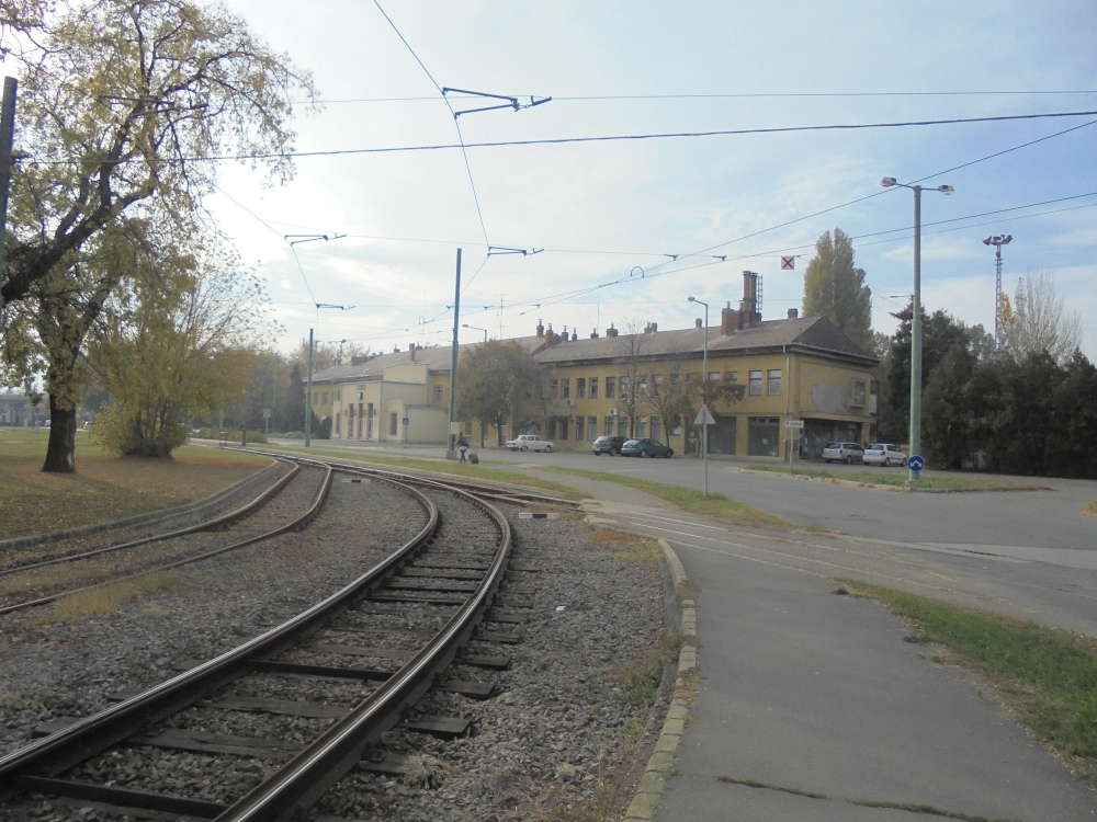 20171021_085_szeged.JPG